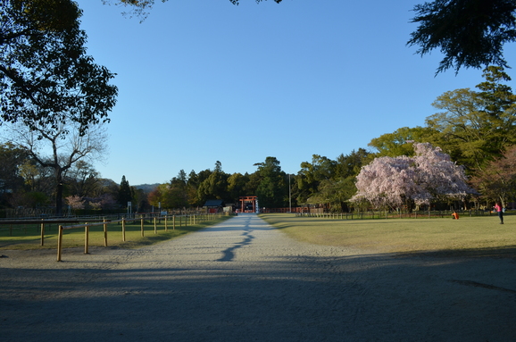 上賀茂神社_f0016981_145514100.jpg