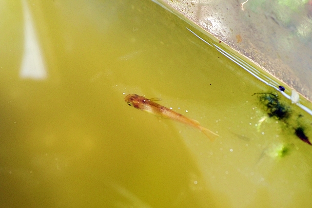 b0018682_21584560.jpg