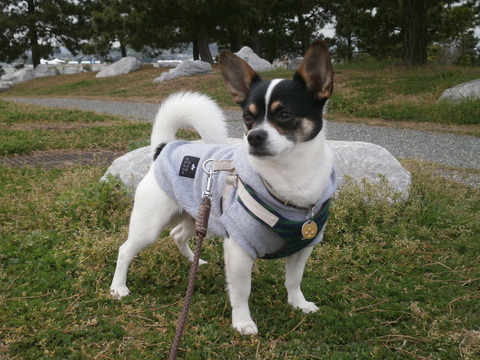 f0248782_21335040.jpg