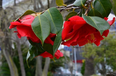 c0229483_1872118.jpg