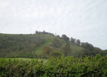 f0141785_634383.jpg