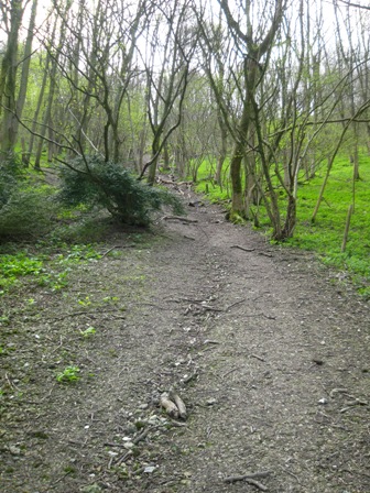 f0141785_6365858.jpg