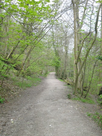 f0141785_6415227.jpg