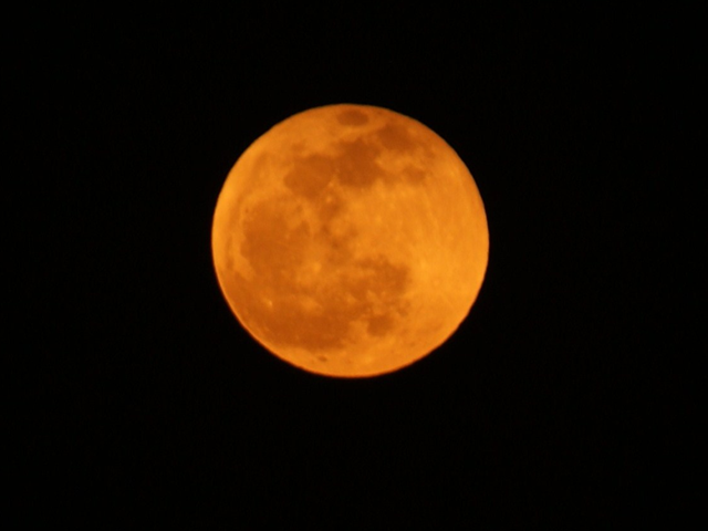 e0271890_22344880.png