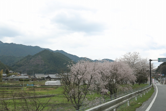b0190092_21423790.jpg