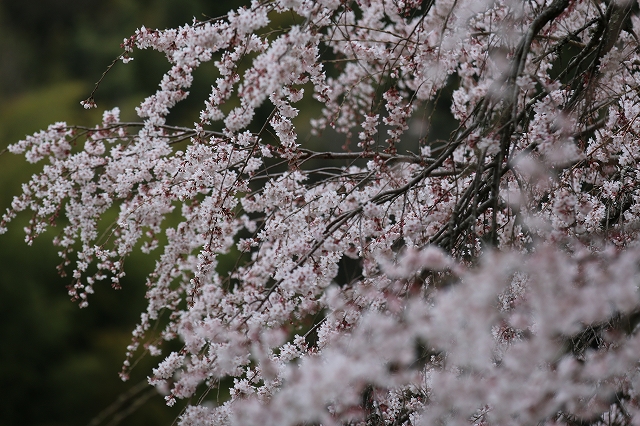 b0190092_2143773.jpg
