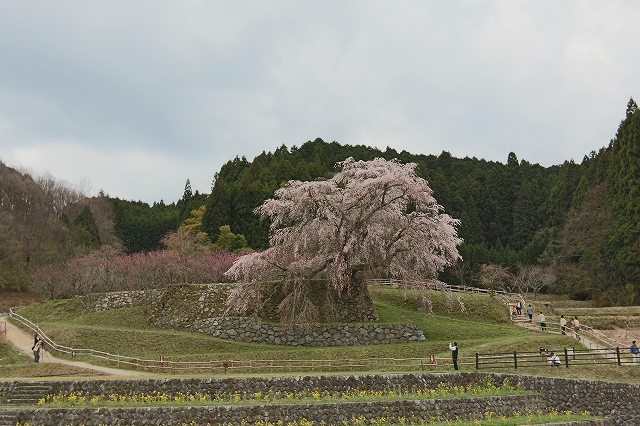 b0190092_2144348.jpg