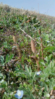 f0168392_21575124.jpg