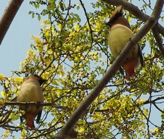 b0028598_18484913.jpg