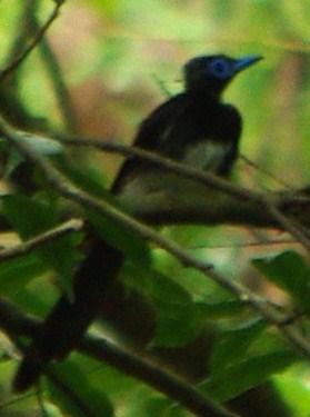b0028598_18555021.jpg