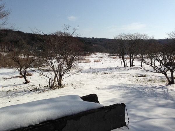 一週間前の火曜日_d0178999_19462271.jpg