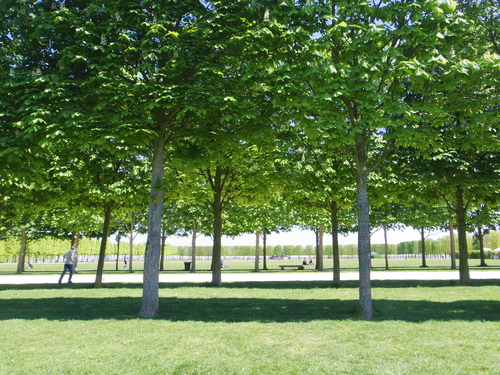 e0123104_13321640.jpg
