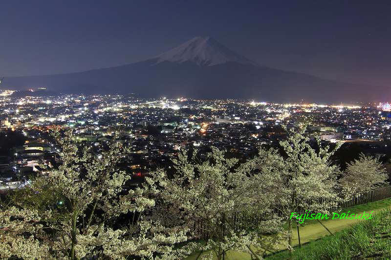 a0188405_8561223.jpg