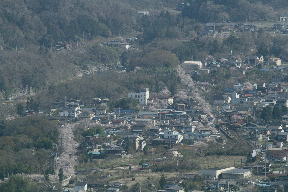 長瀞の渓谷と桜並木と白煙　- 2014年桜・秩父 -  _b0190710_233744.jpg