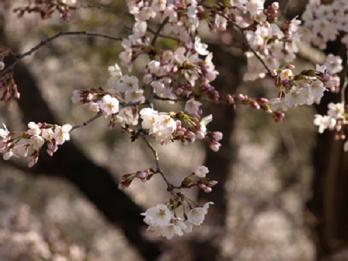 c0247614_85255.jpg
