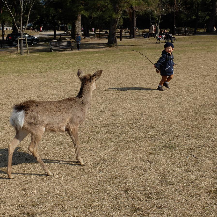 2014年　にっぽん良いとこ in 奈良_d0171125_6402587.jpg