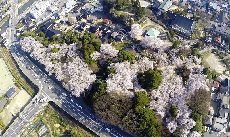 b0174626_17361508.jpg