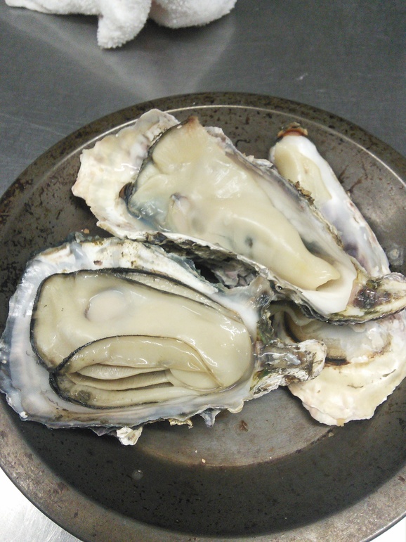 e0308731_1711369.jpg