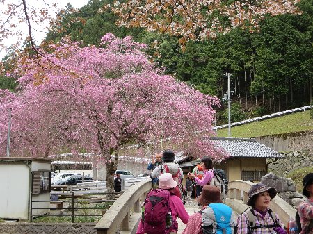 吉野山紀行・・その4・・・西行庵と青ガ峰  _b0063438_17143577.jpg