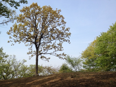 b0330040_19364166.jpg