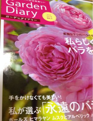 『Garden Diary』_a0223650_21232621.jpg