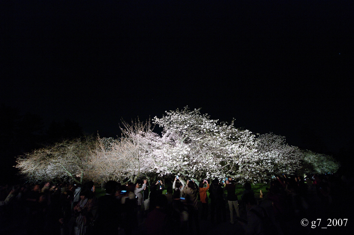 f0152550_0242440.jpg