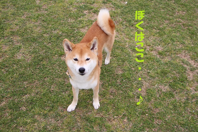 f0245650_07565104.jpg
