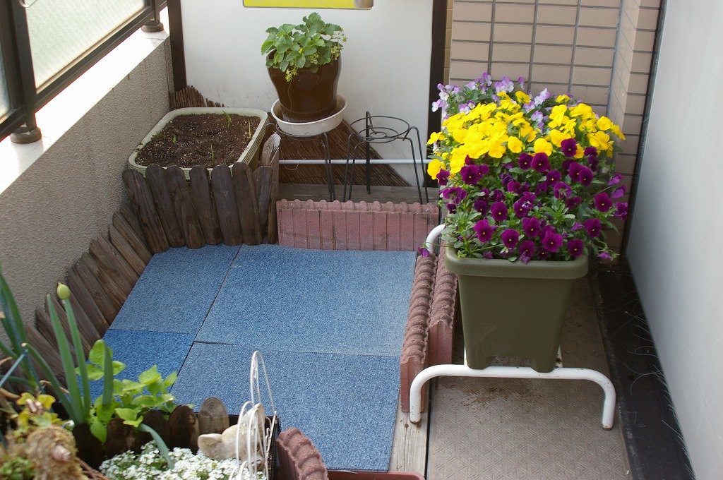 f0154751_17101891.jpg