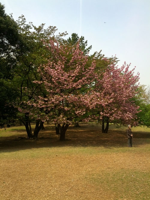 c0058052_2024857.jpg