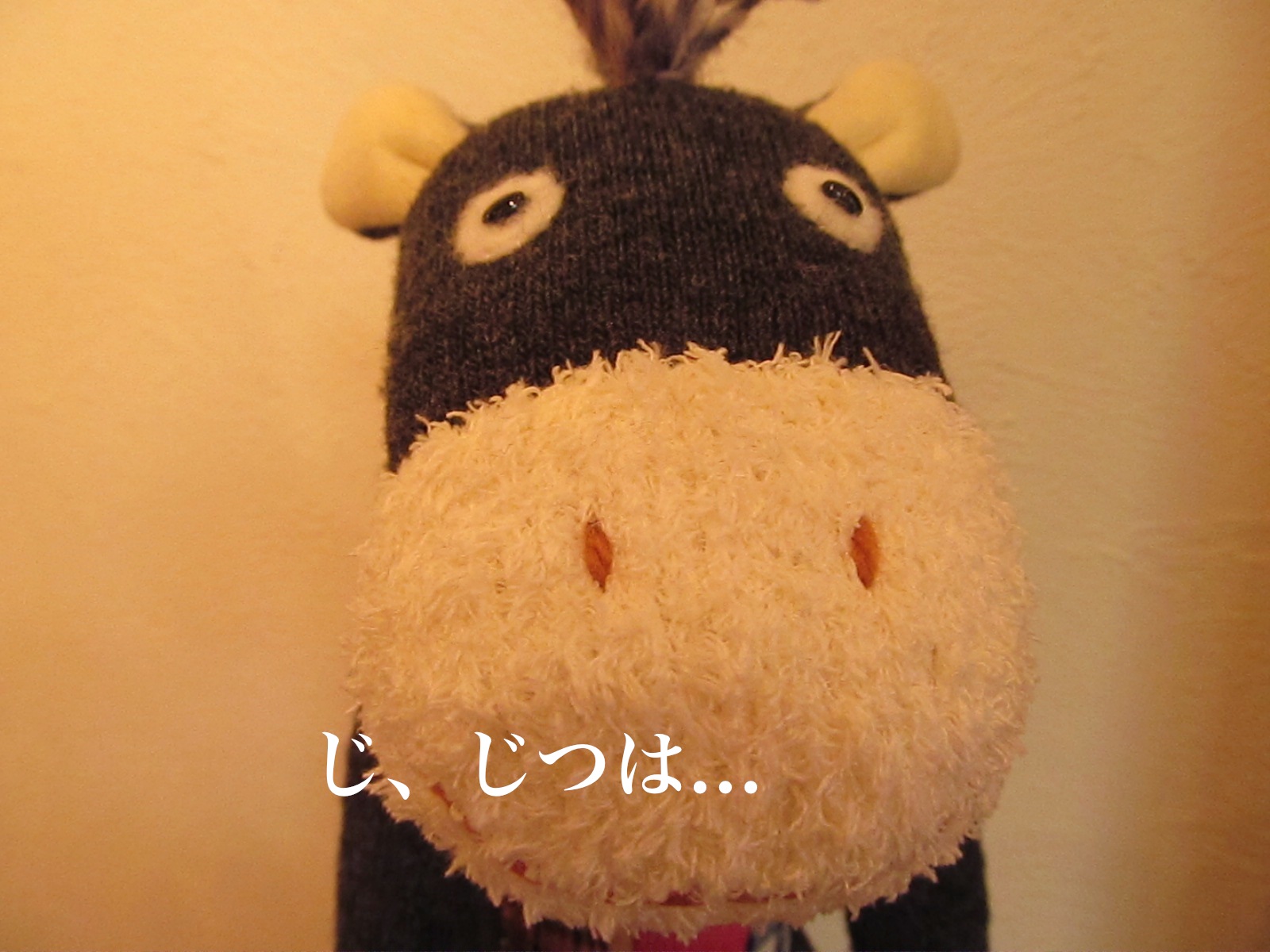 気になる頭の人、いやロバ?_f0129557_14244373.jpg