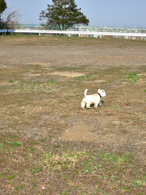 なんだか、いいねぇ♪_c0260460_1853405.jpg