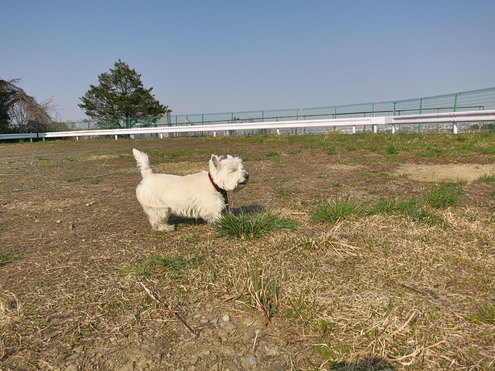 なんだか、いいねぇ♪_c0260460_1856973.jpg