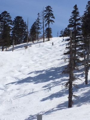 f0233068_16343413.jpg