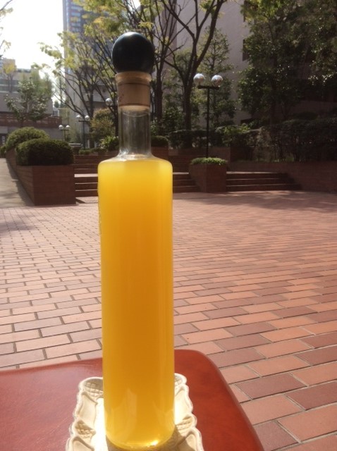 自家製リモンチェッロ_d0118071_1013141.jpg