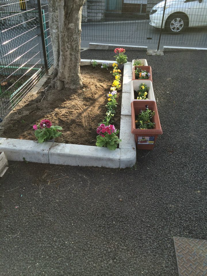 宮城県塩釜市 玉川保育園_d0259876_2338148.jpg