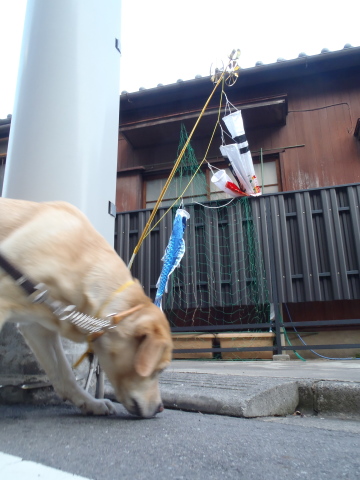 月例　小川動物病院_f0052277_02570415.jpg