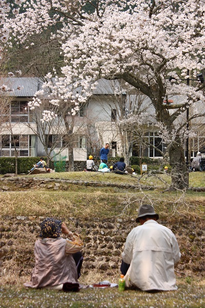 ++SAKURA オフ会 丹波篠山市 ②++_c0208282_2072420.jpg