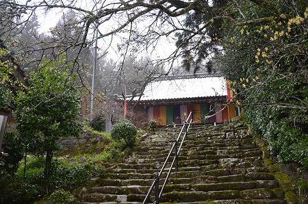 奈良　佛隆寺の千年桜2014_c0229483_23272659.jpg