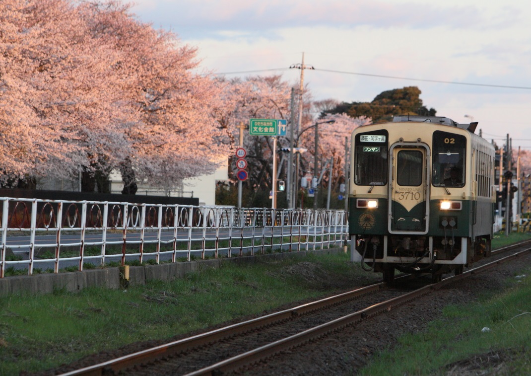 桜とキハ３７１０・・・ひたちなか海浜鉄道・湊線　２０１４・０４・０５_e0143883_18551551.jpg