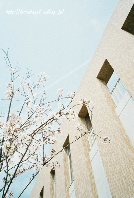 e0148083_11501872.jpg