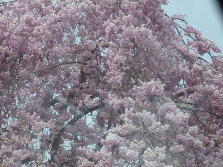 2014年4月16日 参ったね。。_b0098584_22422047.jpg