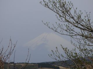 2014年4月16日 参ったね。。_b0098584_22424541.jpg