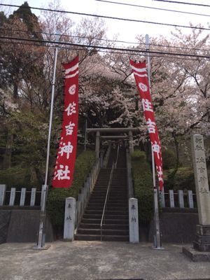 春季例大祭だよ桜ラン_a0155487_16131832.jpg