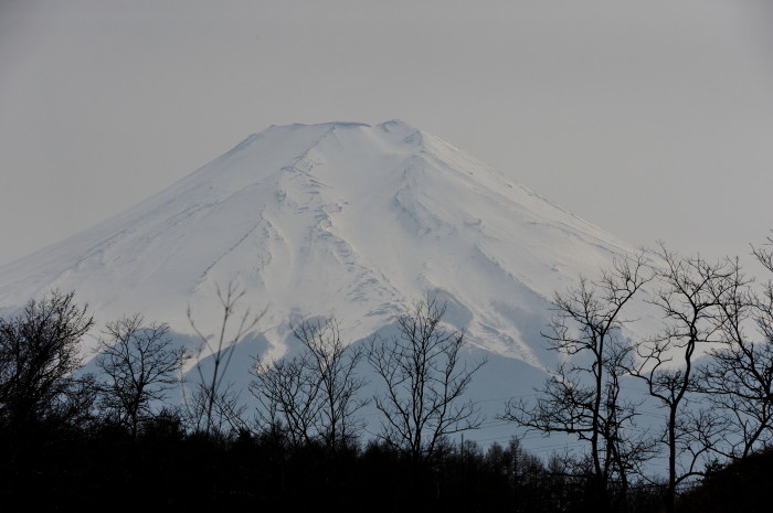 忍野　2014.4.16_d0127888_2384673.jpg