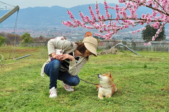かぼちゃんと私_a0126590_22525446.jpg