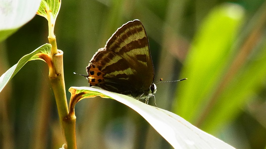 a0152692_1850186.jpg