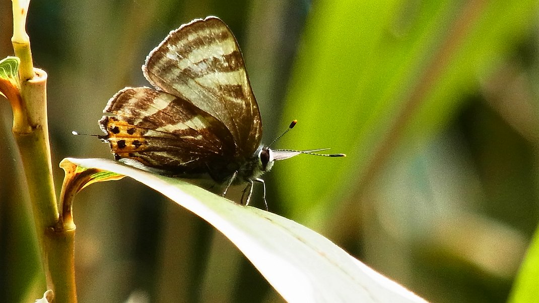 a0152692_18503818.jpg