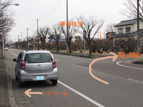ご不便をおかけいたします。_a0045293_16304922.jpg