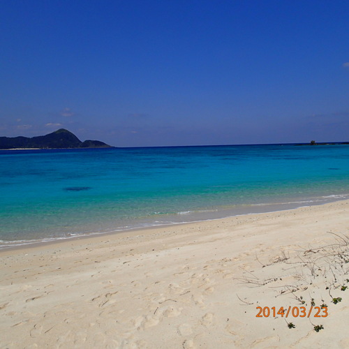 b0118209_95399.jpg