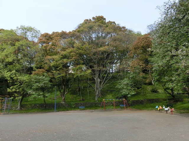 一斉に芽吹き始めて「春真っ盛り」_f0141310_7262284.jpg